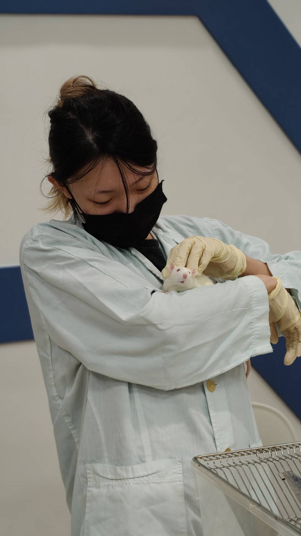 115年小型實驗動物技術講座與實際操作